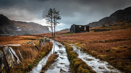 Abandoned House Amidst Nature's Embrace wallpaper