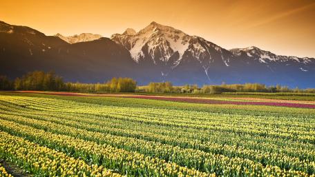 Breathtaking Mountain Landscape at Sunrise wallpaper