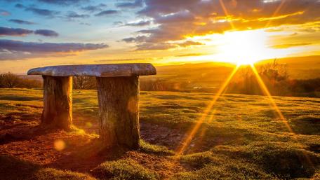 Serene Sunset Over Tranquil Field wallpaper