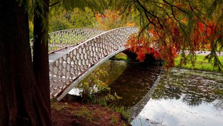 Autumn Serenity in a Park Footbridge wallpaper