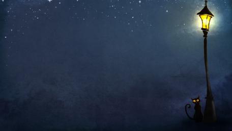 Whiskered Mystery Under Starry Skies wallpaper
