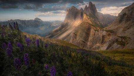 Seceda wallpaper