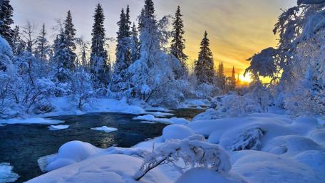 Tranquil Winter River Scene with Snowy Trees wallpaper