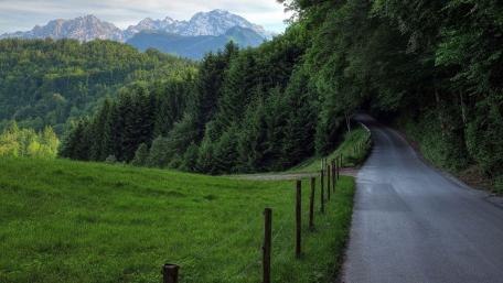 Roadway Through Tranquil Forest and Majestic Mountains wallpaper