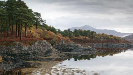 Serene Autumn Reflections in Nature's Embrace wallpaper