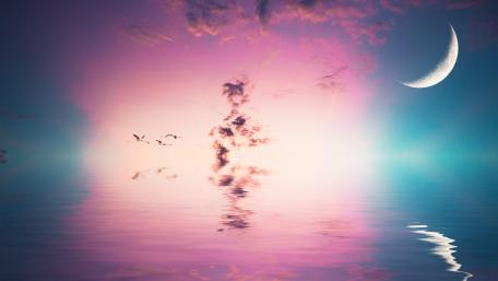 Twilight Flight Under a Crescent Moon wallpaper