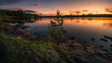 Ringerike wallpaper