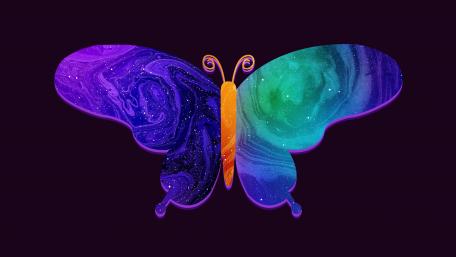 Vivid Butterfly Art for AMOLED Displays wallpaper