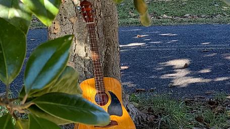 Nature's Melody with a Guitar in Harmony wallpaper