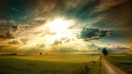Golden Horizon Embraced by Nature's Light wallpaper
