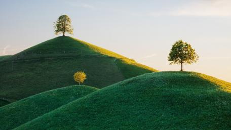 Serene Green Hills Under Soft Light wallpaper