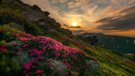Blooming Sunset Over Rocky Slopes wallpaper