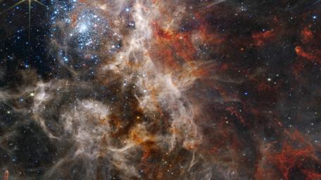 NIRCam Image of 30 Doradus wallpaper