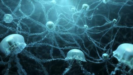 Mesmerizing Underwater Jellyfish Dance in Blue Glow wallpaper