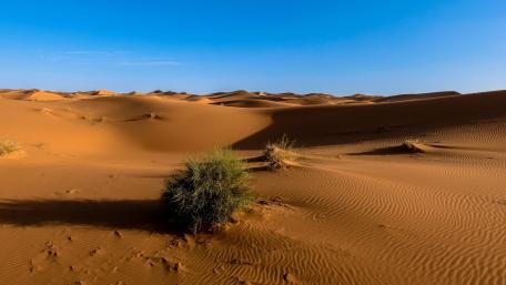 Sahara Desert wallpaper