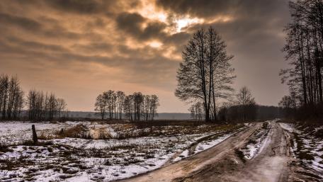 Serene Winter Road Through Nature's Beauty wallpaper