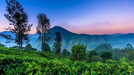 Little Adam's Peak wallpaper