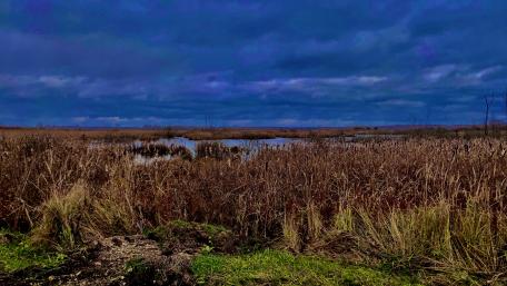 Mysterious Swamp Under Dramatic Clouds wallpaper