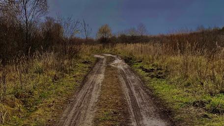 Winding Path Through Tranquil Nature Landscape wallpaper