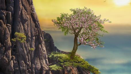 Lone Tree in a Spring Fantasy Landscape wallpaper