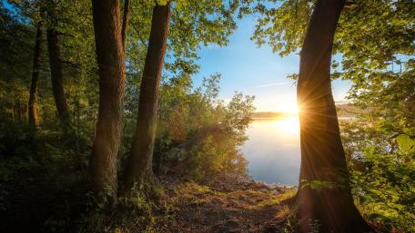 Golden Sunlight Embracing Tranquil Waters wallpaper
