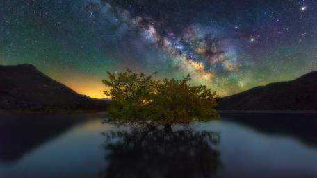Starlit Serenity Over a Tranquil Lake wallpaper