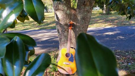 Serenity of Music in Nature wallpaper