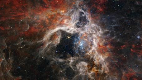 Tarantula Nebula wallpaper