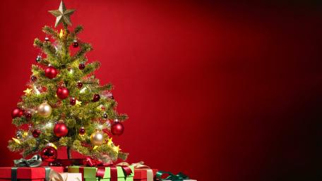 Festive Christmas Tree Elegance wallpaper