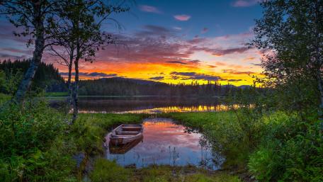 Tranquil Sunset Over the Riparian Zone wallpaper