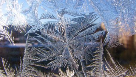 Winter's Frosted Marvels wallpaper