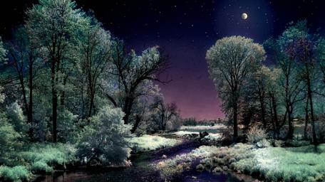 Winter Night by a River wallpaper