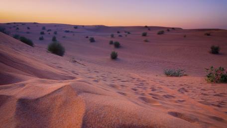 Vibrant Desert Dunes at Dusk wallpaper
