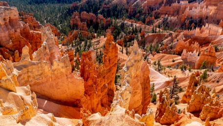 Bryce Canyon National Park wallpaper
