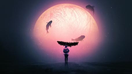 Lost in Fantasy Nightscape wallpaper