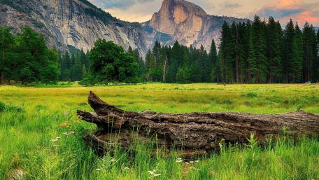 The silence of nature wallpaper