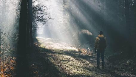 Autumn Forest Adventure Man Walking Alone wallpaper
