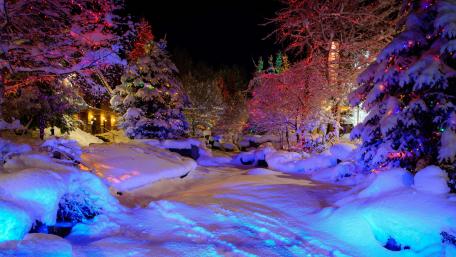 Magical Winter Night Illumination wallpaper