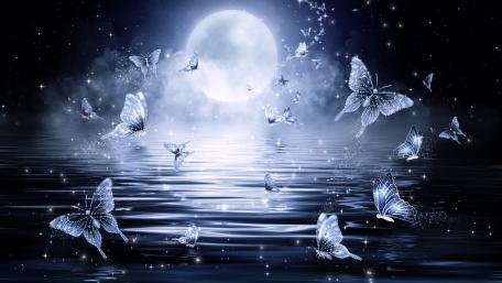 Midnight Butterfly Dreamscape wallpaper