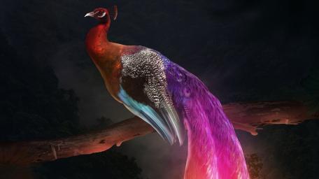 Mythical Glowing Peacock in Enchanted Forest wallpaper