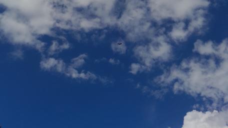 Majestic Blue Sky with Clouds and a Bird Flying wallpaper