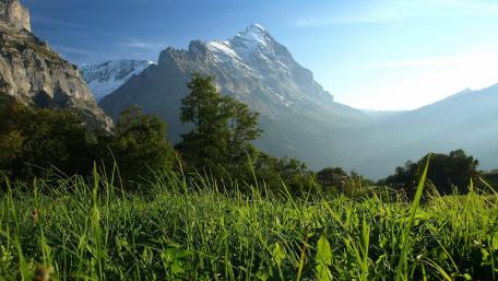 Majestic Mountain View Over Lush Green Valley wallpaper