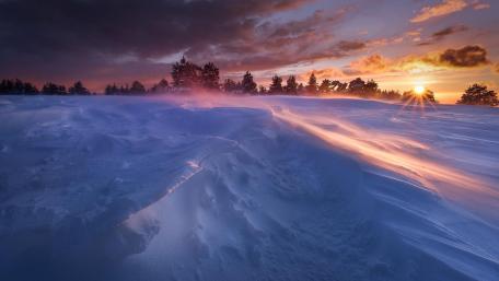 Frozen Serenity in Winter Sunset wallpaper