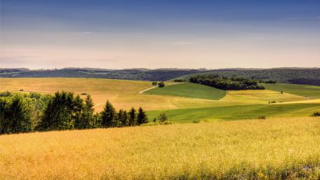 Vast Fields Under a Clear Sky wallpaper