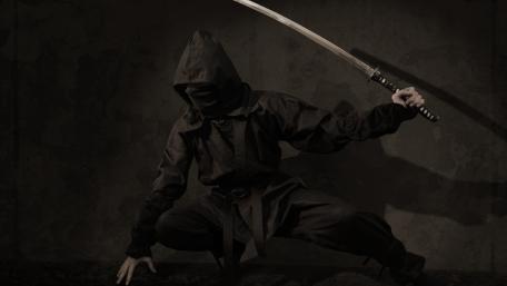 Silent Assassin in Shadow Stance wallpaper