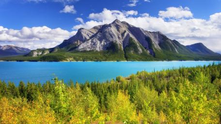 Abraham Lake wallpaper
