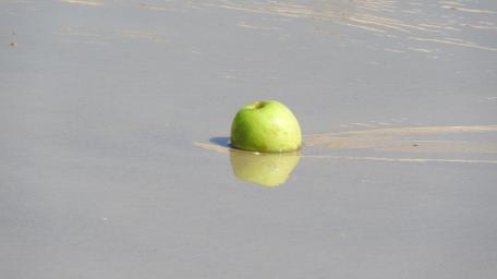 Refreshing Green Fruit on Serene Beach Surface wallpaper