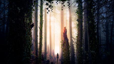 Portal in the Enchanted Forest wallpaper