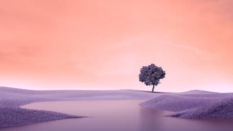 Mystical Purple Solitude in Nature wallpaper