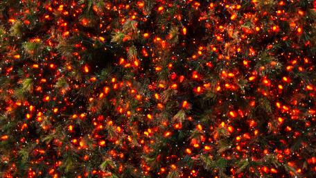 Shimmering Christmas Lights Decoration wallpaper
